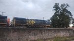 MRSL 7384